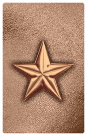 DNSHERT C 430 CP BZ Star Copper Bronze